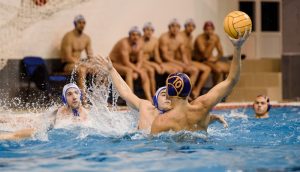 foto: Krsto Vulović, VPSCG