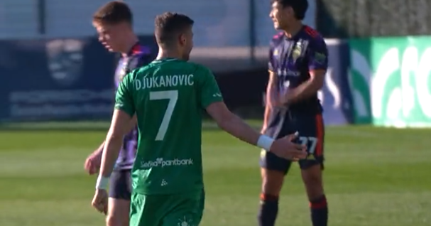 viktor djukanovic hammarbz