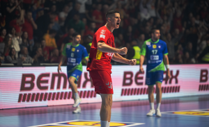 aleksandar bakic crna gora