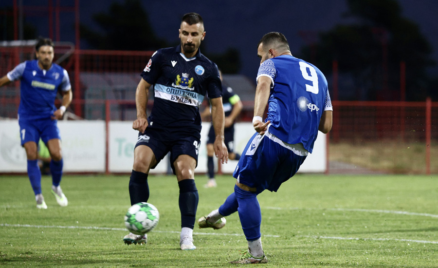 ilir camaj decic