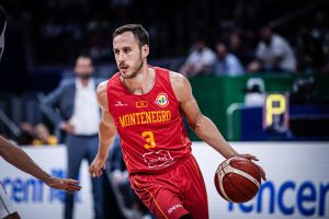 vladimir mihailovic crna gora