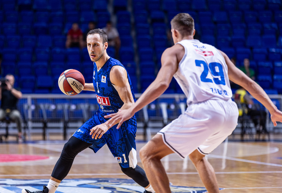 vladimir mihailovic buducnost
