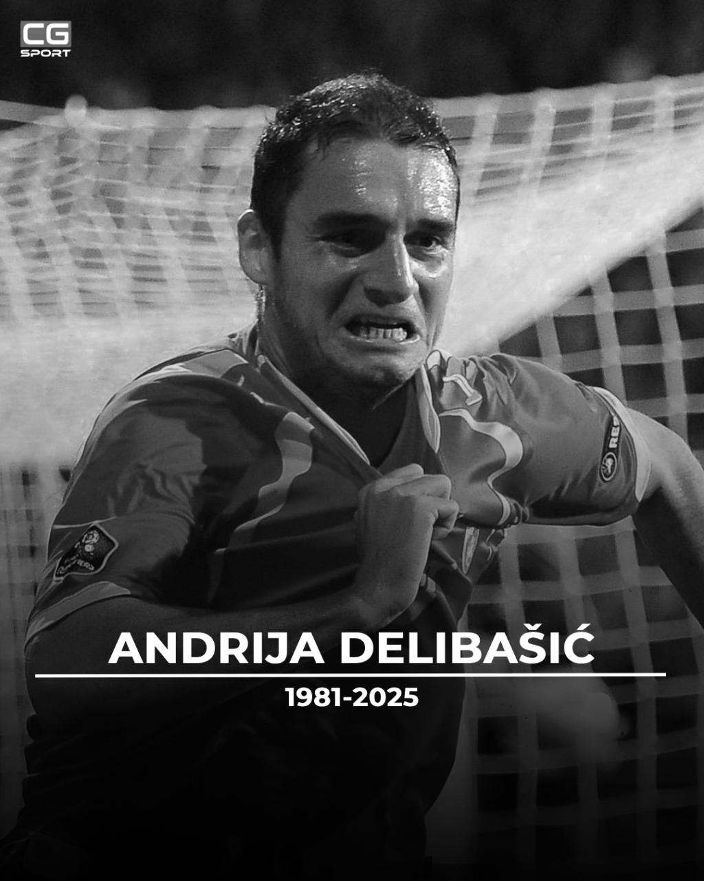 andrija delibasic