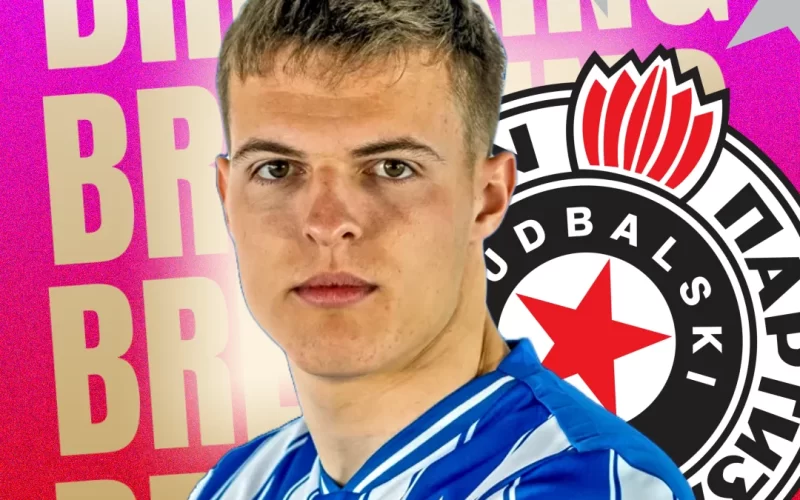 andrej kostic partizan