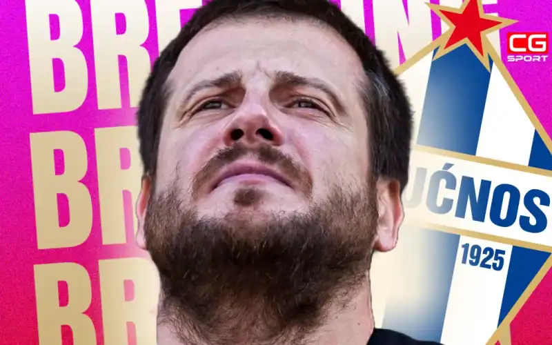 nenad lalatovic buducnost