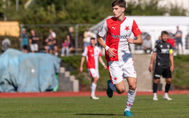 vladimir perisic slavia