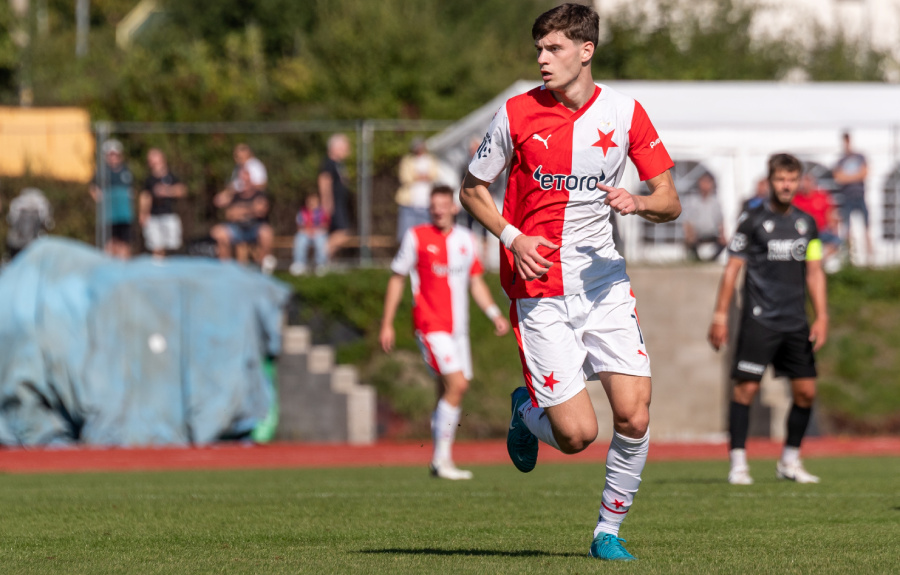 vladimir perisic slavia