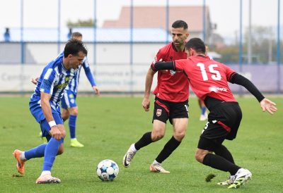 decic buducnost kup mijovic