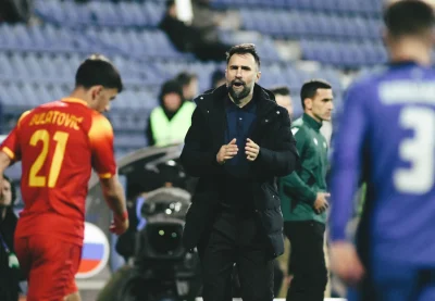 mirko vucinic 2crna gora fudbal slovenija